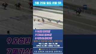 [서울 경마] 5월 25일 일요 5경주 삼쌍도사 전문위원 삼쌍승 고배당 적중 #경마 #하이라이트 #고배당