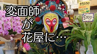【花屋】変面師が花屋で母の日のプレゼントを探した結果…