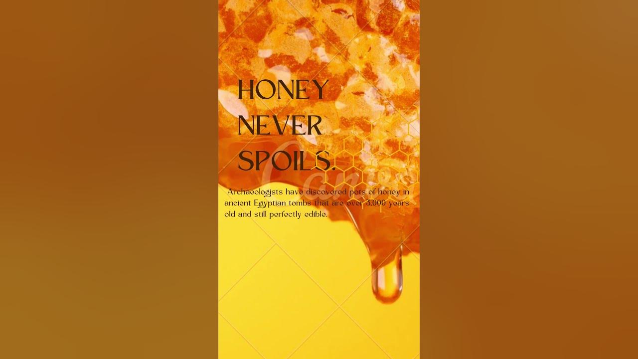 "The Infinite Shelf Life of Honey Fascinating Facts Revealed!" YouTube