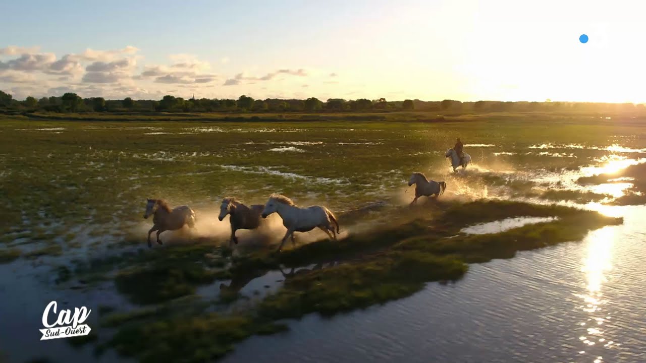 Cap Sud Ouest : Brouage, une vie dans le marais