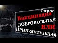 Мэрия Новосибирска провела опрос: ВакtsiнаЦiя должна быть добровольной или обязательной. Результат.