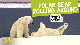 Polar Bear Rolling Around feat. Parry Gripp (Music Video) | Party Animals