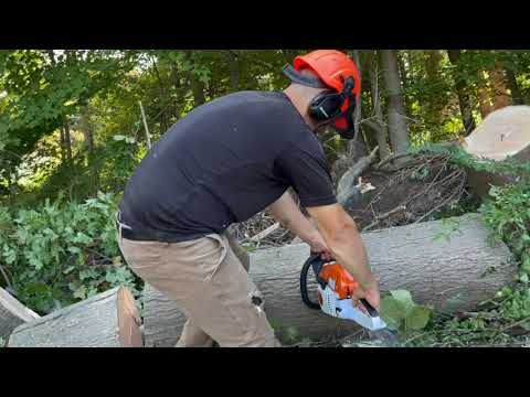 Stihl MS 251 Review