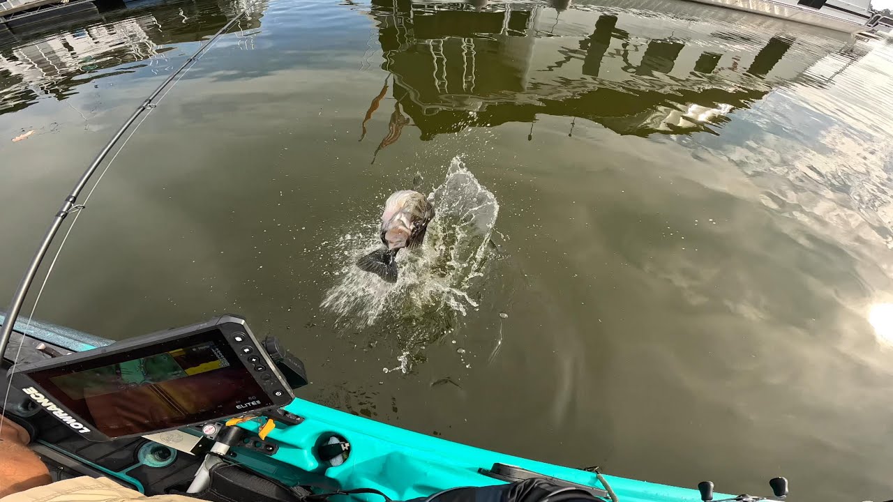 Bass Fishing on Falls Lake (First Time Out)