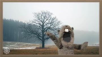 Groundhog Day Explained