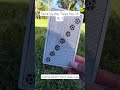 Tarot by the Trees No. 14 Pt. 1 - Seven of Pentacles (4/22/26)