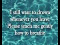 Shelter Birdy Lyrics