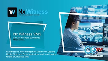 Dahua analytic camera  in Nx Witness