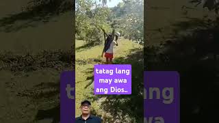 ang buhay probinsya👍 #followers #highlights #shortvideo #viralvideo #music #travel