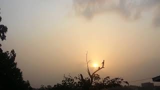 20160101_070016.mp4