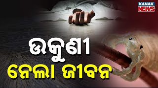 ଉକୁଣୀ ନେଲା ଜୀବନ | 12-YO Girl Dies Due to Severe Head Lice Infection in Puri | Kanak Digital