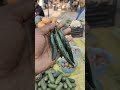 #viralvideo #fishing #sakshidhoni #trending #nature #shortsfeed #funny #love #comedy
