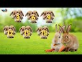 Understanding Multiples