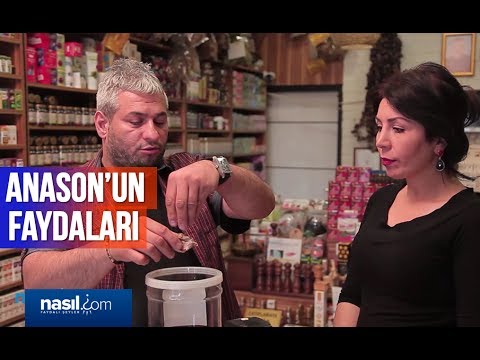 Anason Faydaları | Sağlık | Nasil.com