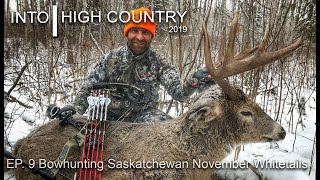 Bowhunting Saskatchewan November Whitetails