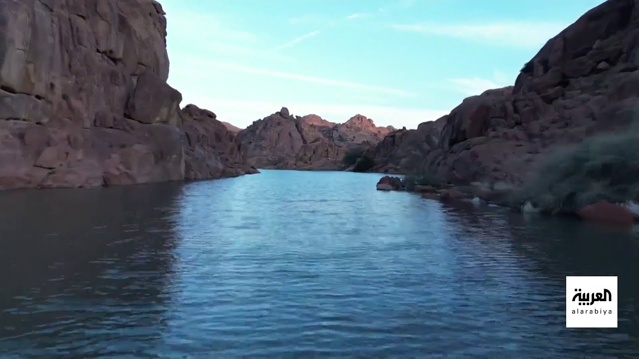 نشرة الرابعة | 