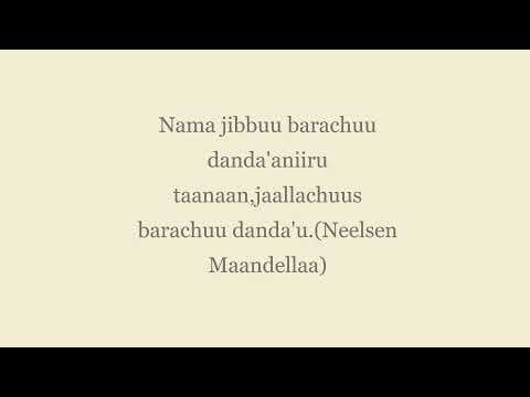 Jecha Hayyootaa Afaan Oromootiin