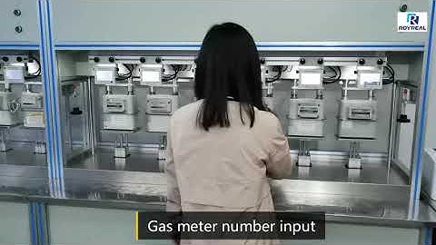 Gas meter test bench