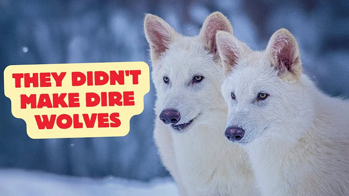 They Didn't Make Dire Wolves, They Made Something…Else | The Shocking Truth Behind the Resurrection