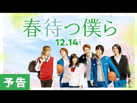映画『春待つ僕ら』予告【HD】2018年12月14日（金）公開