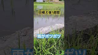 眠いです。これから夕飯の支度します。#日常を楽しく