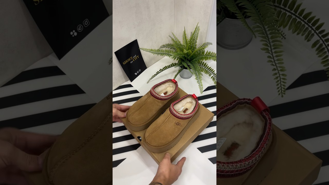 Распаковка UGG Tazz Chestnut