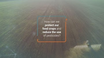 Precision Agriculture to Improve Crop Health