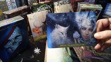 Fantasy Cats Oracle unboxing & reading