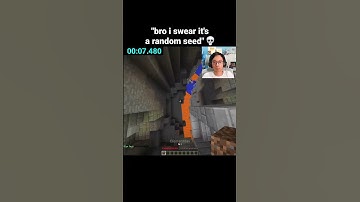Minecraft Speedrun Moment