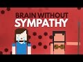 What If You're Born Without Sympathy & Empathy?