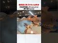 恐竜博物館に行ったんだけど違和感ありありな件#恐竜#博物館#違和感#しゃべる恐竜