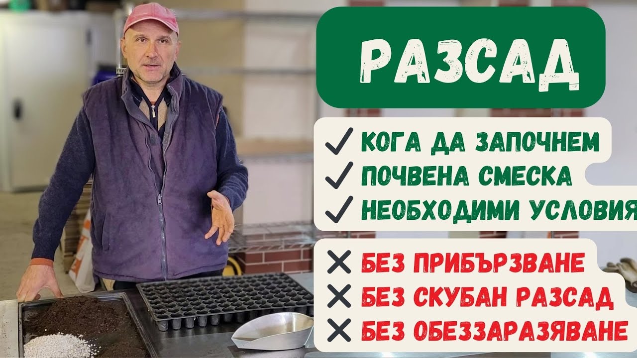 Как да си направим разсад