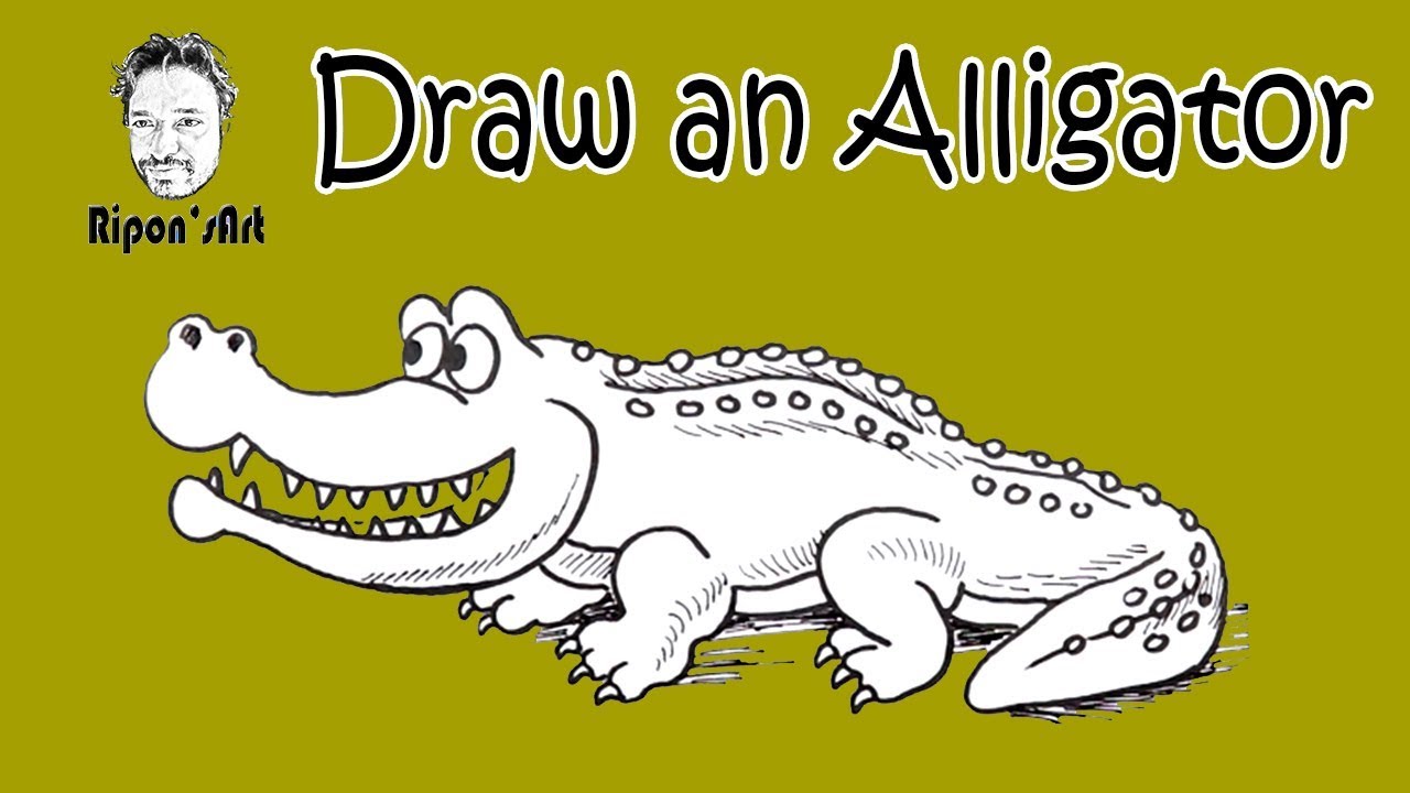 How to draw an Alligator easy and step by step.|Easy drawing and