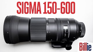 The Best SPORTS &amp; WILDLIFE Lens Under $1,000: SIGMA 150-600 Review.