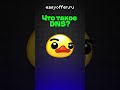 Что такое DNS?