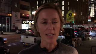 Jessica Morgan about François Morellet exhibition at Dia Foundation