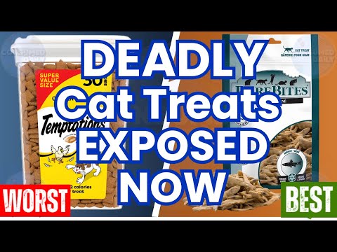 What Are The Safest Cat Treats