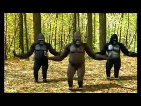 قردة ترقص على اغنية دق دق راس ندق 1 