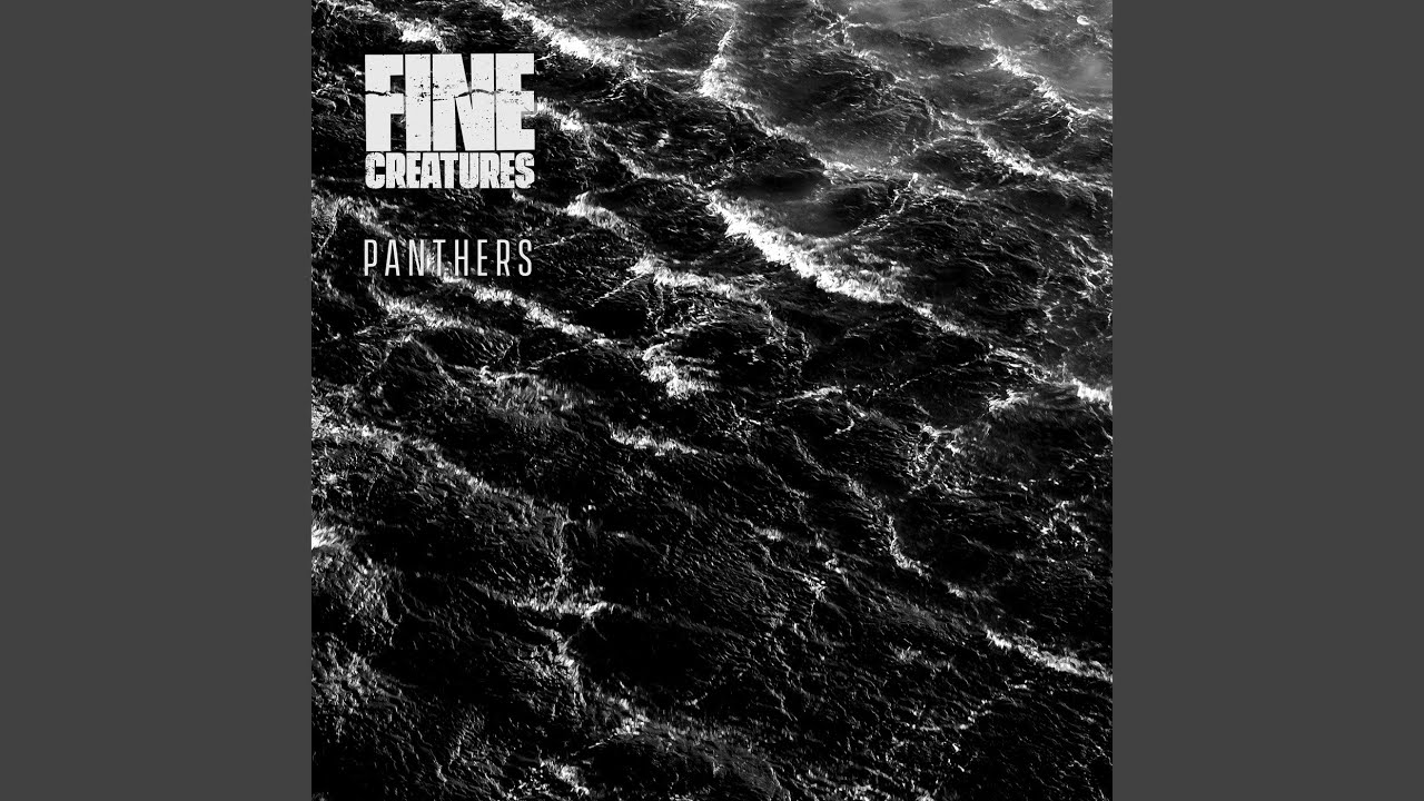 Ver Panthers no YouTube Ver Panthers no YouTube