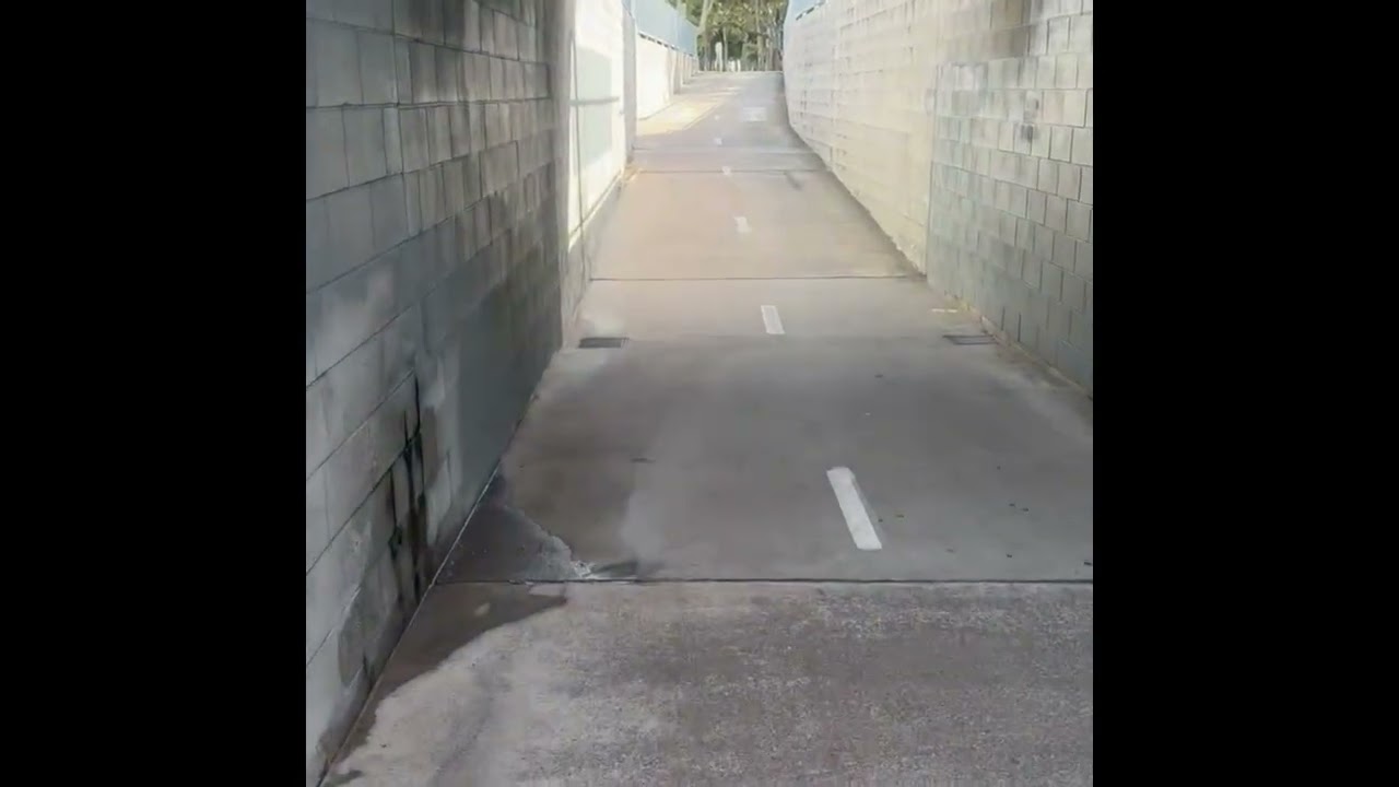 Bribie Island Butterfly House and Surroundings