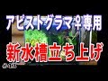 【新水槽(30cm)立ち上げ】アピストグラマ♀用に新しい水槽立ち上げました！【水草水槽・熱帯魚(Planted aquarium/Tropical fish)】#43