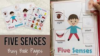 Five Senses Activity Pages, Busy Book, Learning Binder, Toddlers, Preschoolers, Homeschool Resource Five Senses Activity Pages, Busy Book, Learning Binder, Toddlers, Preschoolers, Homeschool Resource