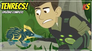 kratts series - caça ao tesouro do tenrec - episódio completo em português - HD