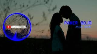 PAMER BOJO ANISA SALMA