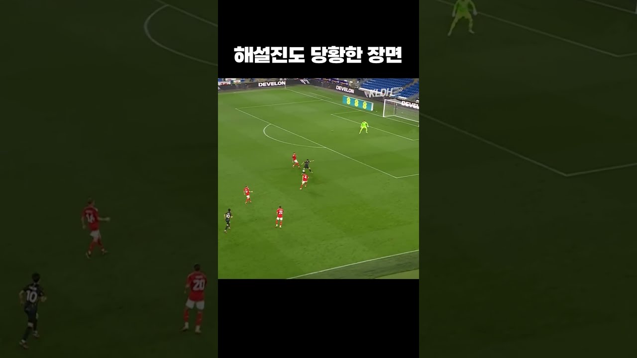 해설진도 처음봄 #shorts
