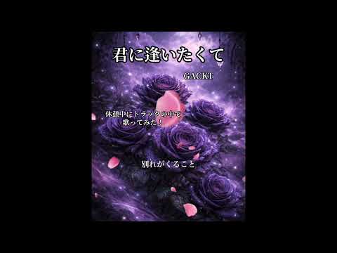 君に逢いたくて ／ GACKT ／ Yuji cover