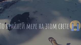 Прощай Эйван.... спасибо огромное за детство...пусть земля тебе кажется пухом..#AnnyMagicмысвами!