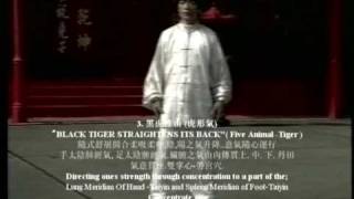 Master Chen Yong Fa teaching DVD series Lohan Qigong Chi kung 十八羅漢功