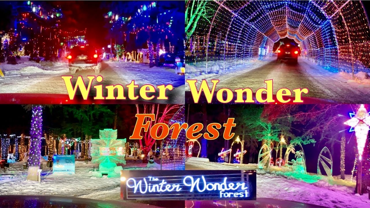 Winter Wonder Forest Edmonton Canada Edmonton Christmas Lights Up