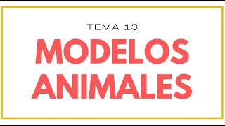 Download Lagu Animal Models | Biology | Psychology Podcast Download Lagu Animal Models | Biology | Psychology Podcast